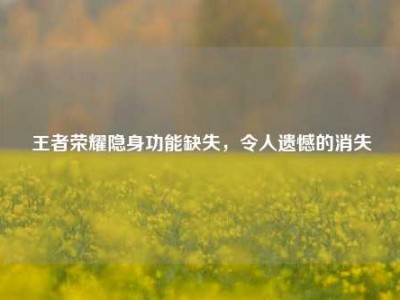 王者荣耀隐身功能缺失，令人遗憾的消失