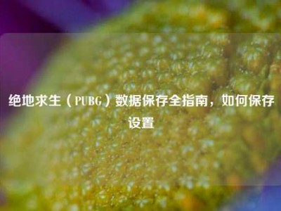 绝地求生（PUBG）数据保存全指南，如何保存设置