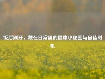 饭后刷牙，藏在日常里的健康小秘密与最佳时机