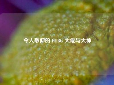 令人敬仰的 PUBG 大佬与大神