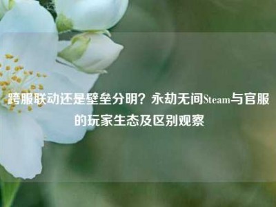 跨服联动还是壁垒分明？永劫无间Steam与官服的玩家生态及区别观察
