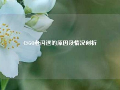 CSGO老闪退的原因及情况剖析
