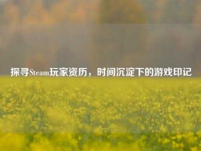 探寻Steam玩家资历，时间沉淀下的游戏印记