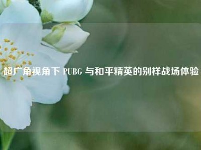 超广角视角下 PUBG 与和平精英的别样战场体验