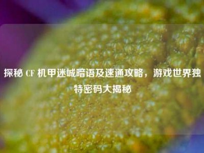 探秘 CF 机甲迷城暗语及速通攻略，游戏世界独特密码大揭秘