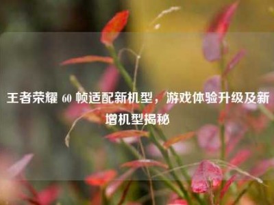 王者荣耀 60 帧适配新机型，游戏体验升级及新增机型揭秘