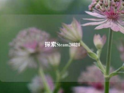 探索Steam20824