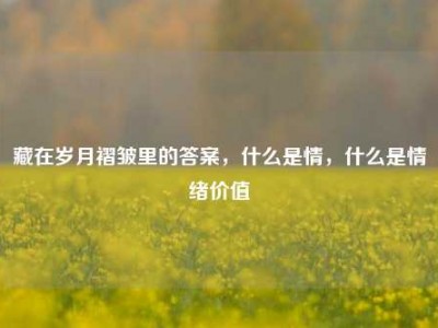 藏在岁月褶皱里的答案，什么是情，什么是情绪价值