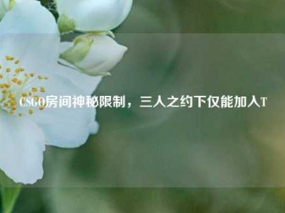 CSGO房间神秘限制，三人之约下仅能加入T