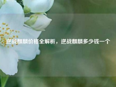 逆战麒麟价格全解析，逆战麒麟多少钱一个