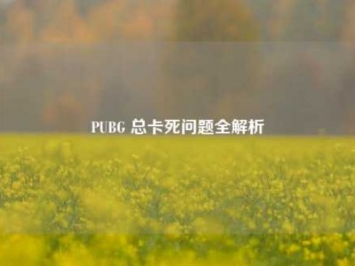 PUBG 总卡死问题全解析