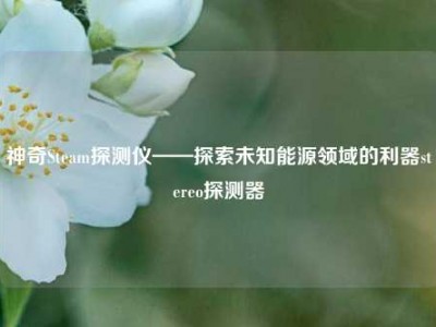 神奇Steam探测仪——探索未知能源领域的利器stereo探测器