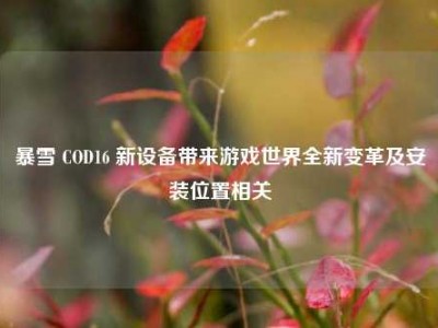 暴雪 COD16 新设备带来游戏世界全新变革及安装位置相关