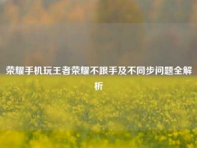 荣耀手机玩王者荣耀不跟手及不同步问题全解析