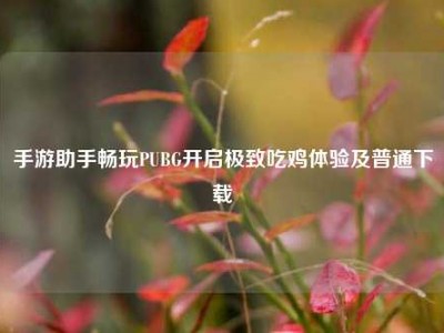 手游助手畅玩PUBG开启极致吃鸡体验及普通下载