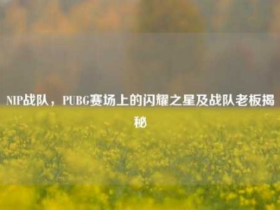 NIP战队，PUBG赛场上的闪耀之星及战队老板揭秘