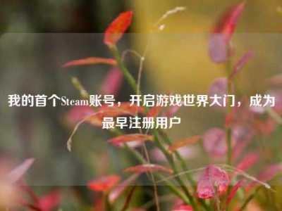 我的首个Steam账号，开启游戏世界大门，成为最早注册用户