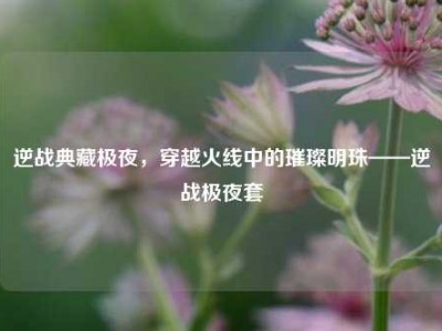 逆战典藏极夜，穿越火线中的璀璨明珠——逆战极夜套
