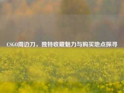 CSGO周边刀，独特收藏魅力与购买地点探寻