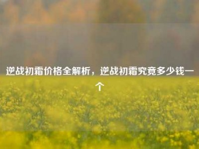 逆战初霜价格全解析，逆战初霜究竟多少钱一个