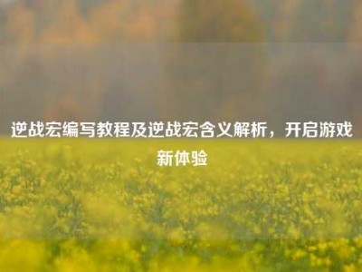 逆战宏编写教程及逆战宏含义解析，开启游戏新体验