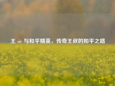王 sir 与和平精英，传奇王叔的和平之路
