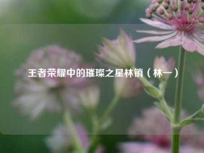 王者荣耀中的璀璨之星林销（林一）