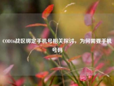 COD16战区绑定手机号相关探讨，为何需要手机号码