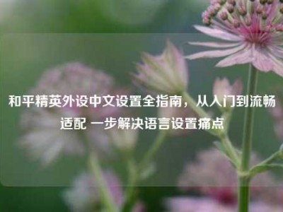 和平精英外设中文设置全指南，从入门到流畅适配 一步解决语言设置痛点