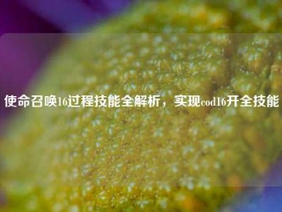使命召唤16过程技能全解析，实现cod16开全技能