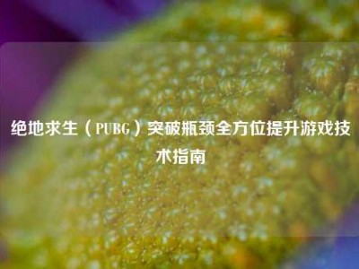 绝地求生（PUBG）突破瓶颈全方位提升游戏技术指南