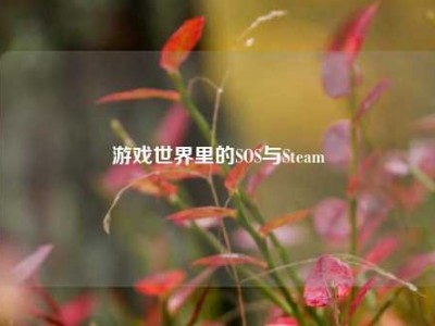 游戏世界里的SOS与Steam