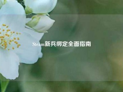 Steam新兵绑定全面指南