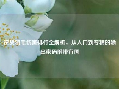 逆战羽毛伤害排行全解析，从入门到专精的输出密码附排行图
