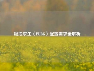 绝地求生（PUBG）配置需求全解析