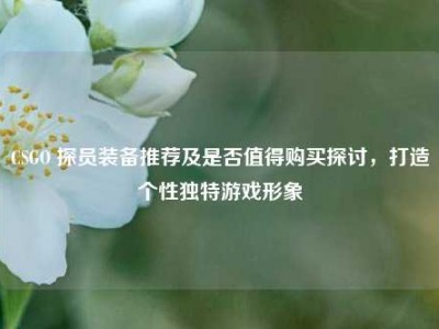 CSGO 探员装备推荐及是否值得购买探讨，打造个性独特游戏形象