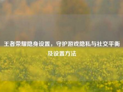 王者荣耀隐身设置，守护游戏隐私与社交平衡及设置方法