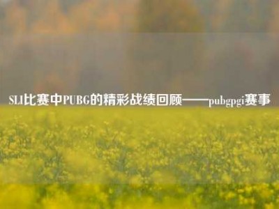 SLI比赛中PUBG的精彩战绩回顾——pubgpgi赛事