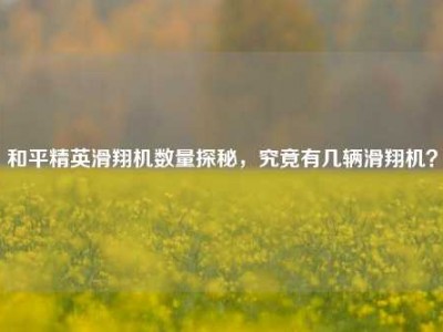 和平精英滑翔机数量探秘，究竟有几辆滑翔机？