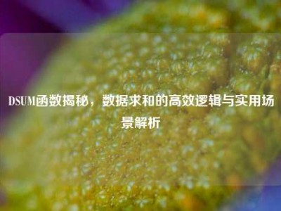 DSUM函数揭秘，数据求和的高效逻辑与实用场景解析