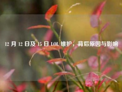 12 月 12 日及 15 日 LOL 维护，背后原因与影响