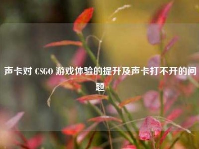 声卡对 CSGO 游戏体验的提升及声卡打不开的问题