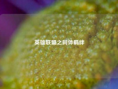 英雄联盟之同体羁绊