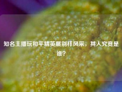 知名主播玩和平精英展别样风采，其人究竟是谁？