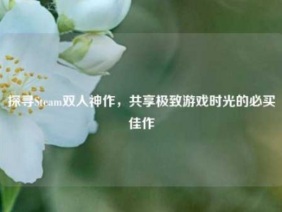 探寻Steam双人神作，共享极致游戏时光的必买佳作