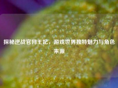 探秘逆战官网王妃，游戏世界独特魅力与角色来源