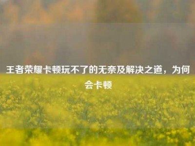 王者荣耀卡顿玩不了的无奈及解决之道，为何会卡顿