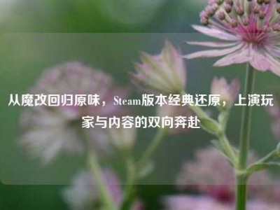 从魔改回归原味，Steam版本经典还原，上演玩家与内容的双向奔赴