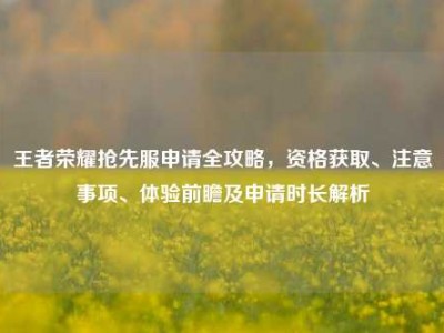 王者荣耀抢先服申请全攻略，资格获取、注意事项、体验前瞻及申请时长解析