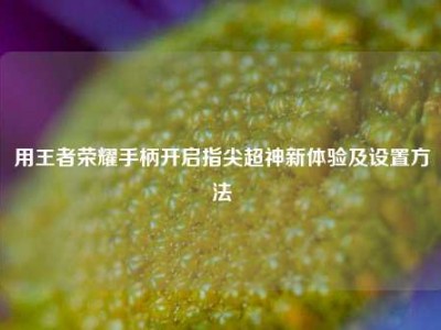 用王者荣耀手柄开启指尖超神新体验及设置方法